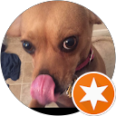 Jepeps profile picture
